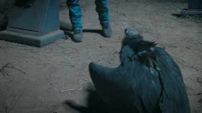 - [Steve-O] Come.
- [vulture screeches] - Jackass Forever