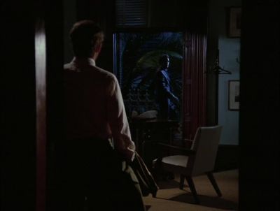 STEVE? - Hawaii Five-0