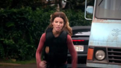 Steve? - Hawaii Five-0