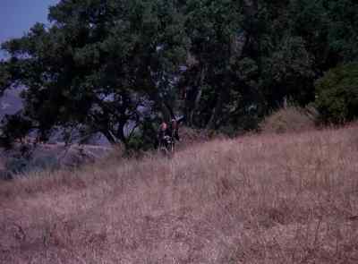STEVE:
Steve to pilot, come in. - The Six Million Dollar Man