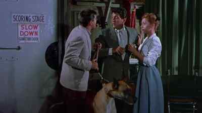 Steve, they're
after Mr. Bascom. - Hollywood or Bust