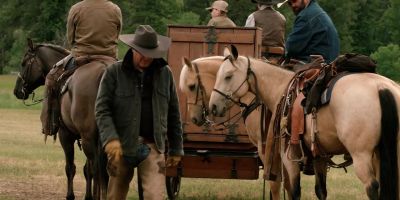 Stick that horse back in the barn. - Yellowstone