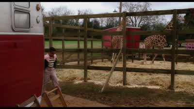 Stick together, that's the way it's gonna be. - Big Fish