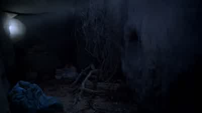 It's a coyote den. - Teen Wolf
