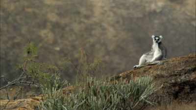 Still got moves where it counts. - When Nature Calls with Helen Mirren