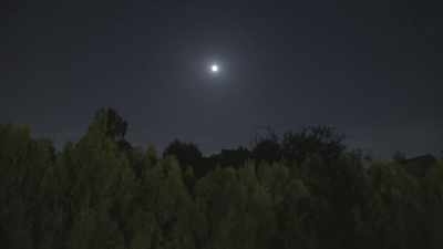 Still,
I mean, we do not know-- - It’s Quieter in the Twilight