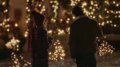 Still not enough lights. - Christmas on the Alpaca Farm