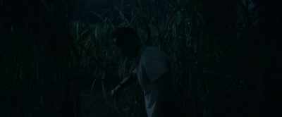 Still, nothin', but nothin'
compares to this. - In the Tall Grass