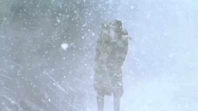 Stinging snow against my face
made it impossible to see. - Strawberry Mansion