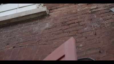 Stone was too expensive, timber was too expensive, - The History of Home Narrated by Nick Offerman