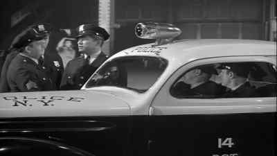 Stop all Globe cabs
crossing the bridge. - Tarzan's New York Adventure