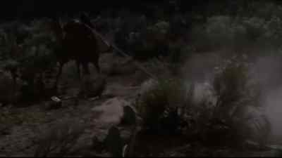 Stop that camel! - One Little Indian