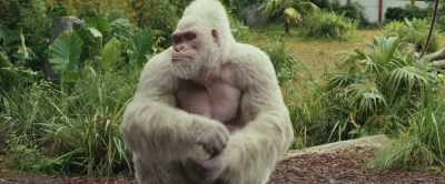 Stop doing that. Listen, it's important
for you to be nice to Paavo. - Rampage