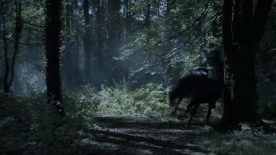 - Stop!
- I'll take him! - Game of Thrones