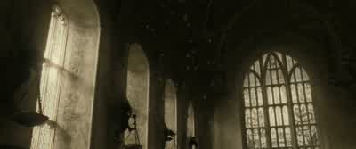 Stop it, Ron. - Harry Potter and the Half Blood Prince