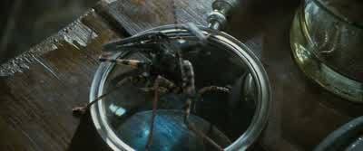 Stop it! - Harry Potter and the Goblet of Fire