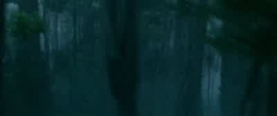 Stop it! - The Legend of Tarzan