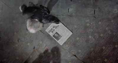Stop it, stop it! I think I
discovered another movie cliché! - The Last Remake of Beau Geste