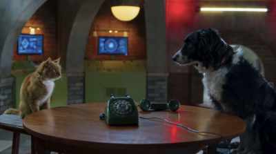 Stop it, you two! - Cats & Dogs 3: Paws Unite