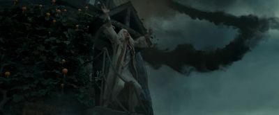 Stop I've got him - Harry Potter and the Deathly Hallows: Part 1