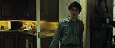 Stop! I've got you, Marge! I've got you! - Harry Potter and the Prisoner of Azkaban