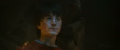 Stop moving, both of you. - Harry Potter and the Philosopher's Stone