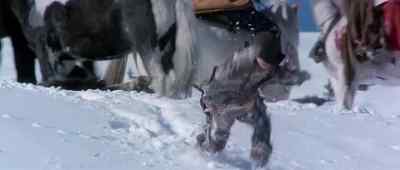 Stop! No! No! - Winterhawk
