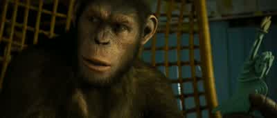 Stop, right now! - Rise of the Planet of the Apes