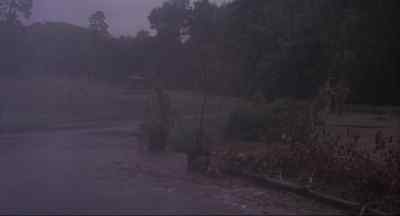 Stop! - Burnt Offerings