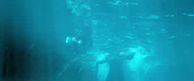 - Oh, my God! - The Meg