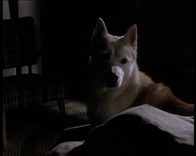 Stop stealing the blanket - Due South