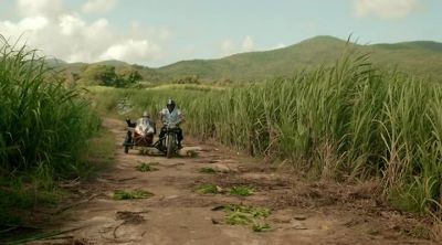 Stop! Stop! Stop! - Death in Paradise