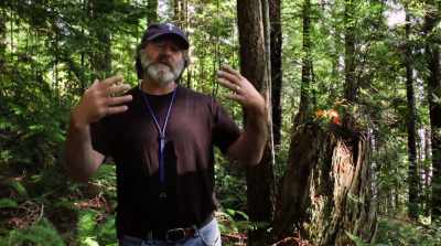 Stop stuttering now." - Fantastic Fungi