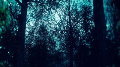 Stop! The flowers and the trees
cause you no harm, Jonathan. - Shadowhunters