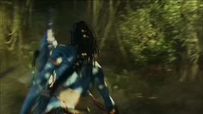 Stop the picture here. - Avatar