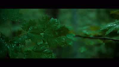 Stop it This is your pain this is your burning handI'm going to my cave to find my power animalNo Don't deal with this the way those dead people do Come on - Fight Club