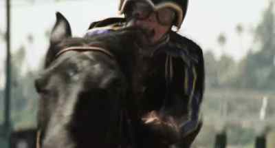 Stop! Whoa! - The Black Stallion
