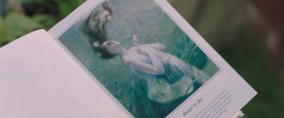 Stories have to come from somewhere - Summerland