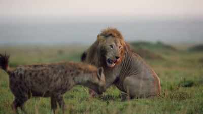 Storm force winds
now drive the temperature down - Dynasties