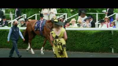 Stradivarius
in the paddock here, - Horsepower