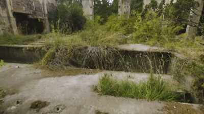 Straight after
the project ended, - Mysteries of the Abandoned