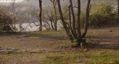 Straight, we can see River Ganga.
Clear water and forest. - The Beatles and India