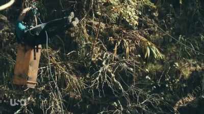 - [straining] - Snake in the Grass