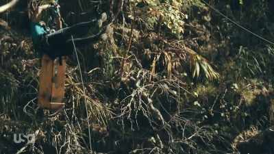 [straining] - Snake in the Grass
