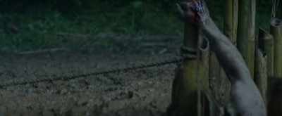 [straining] - Escape and Evasion
