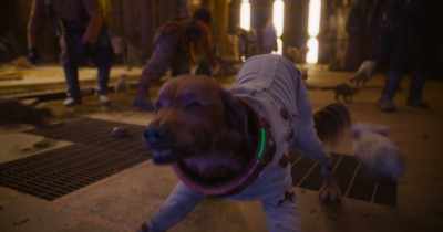 (STRAINING) - Guardians of the Galaxy Vol. 3
