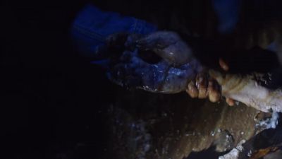 Strand. Strand,
grab the arm and pull. - Fear the Walking Dead