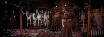 Strangers make them shy. - Ben Hur