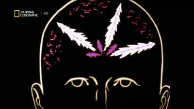 Stratton:
The best chemists in the world - America's War on Drugs