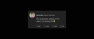 [streamer] And Adam Ellis's
last tweet was, - Dear David